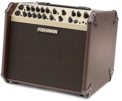 FISHMAN PRO-LBX-EX6 (Loud Box Artist) комбо для акустической гитары 120 Вт от музыкального магазина МОРОЗ МЬЮЗИК