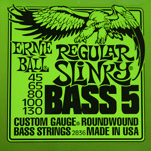 Ernie Ball 2836 струны для 5-струнной бас гитары (45-65-80-100-130) от музыкального магазина МОРОЗ МЬЮЗИК