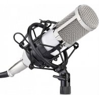 FZONE BM-800 WH Микрофон  профессиональный студийный с большой мембраной, цвет - белый, сверхпрочная конструкция в литом корпусе, врающийся адаптер дл от музыкального магазина МОРОЗ МЬЮЗИК