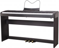 Ringway RP-35 B цифровое фортепиано 88 кл. (молоточковая), 137 тембров, 64 полифония, память, DSP, USB, 2x10 Вт, пюпитр, стойка, 3 педали, 17 кг от музыкального магазина МОРОЗ МЬЮЗИК