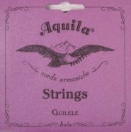 AQUILA 96C струны для гиталеле (42см, a-e-c-G-D-A) из революционного синтетического материала Supernylgut® от музыкального магазина МОРОЗ МЬЮЗИК
