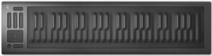 ROLI RISE 49 клавишный инструмент c фирменным программным обеспечением Equator, 49 силиконовых клавиш, сенсорные X/Y контроллер, 3 сенсорных контролле от музыкального магазина МОРОЗ МЬЮЗИК