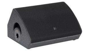 DS Proaudio MCX 15 двухполосный пассивный сценический монтитор 15” и 1” драйверы, 95-20000 Гц, макс SPL131 дБ, многослойная фанера, 19 кг. от музыкального магазина МОРОЗ МЬЮЗИК