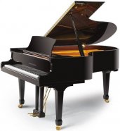 Ritmuller GP188R1(A111) рояль, 88 клавиш, 188 см, цвет чёрный, полированный, струны Германия «Rosslau», 100х188х148 вес: 370 кг от музыкального магазина МОРОЗ МЬЮЗИК