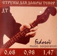 Fedosov DT-Fedosov комплект струн для домры тенор, латунь 80/20, шестигранная основа струн от музыкального магазина МОРОЗ МЬЮЗИК